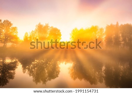 Golden misty sunrise on the pond in the autumn morning. Trees with rays of the sun cutting through the branches, reflected in the water.