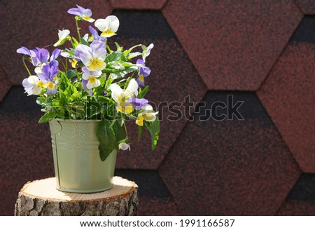    a bouquet of pansies in a small bucket against the background of brown soft tiles                            