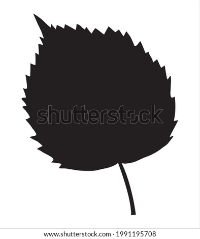 Linden leaf in the doodle style. Hand-drawn autumn silhouette. 
Botanical vector illustration