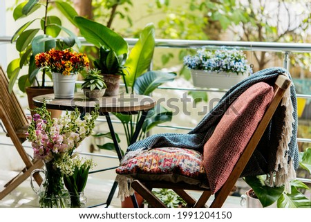 View of a cozy balcony or terrace full of green plants. Home gardening concept. Royalty-Free Stock Photo #1991204150