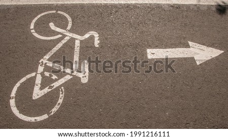 Bike road in the park. Healthy lifestyle. Bicycle track.