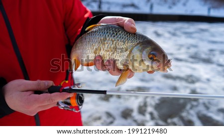 Roach caught on the drain channel in the Moskva river on a fishing rod
