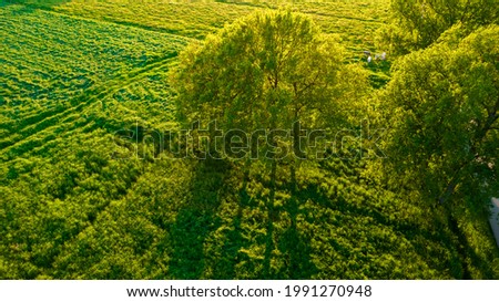 Aerial view of countryside and agricultural field in spring evening, shot with a drone. High quality photo