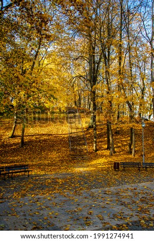 Autumn city park on magic golden hour.