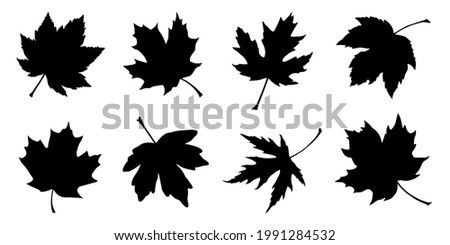 various oak leaf silhouettes on the white background Royalty-Free Stock Photo #1991284532
