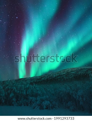 Night sight of aurora lights