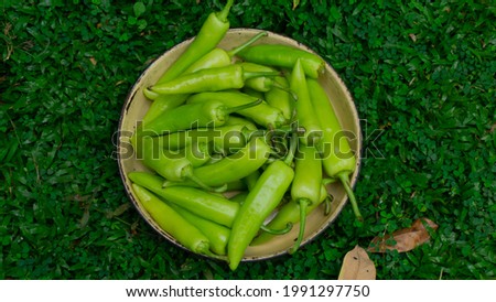 Sri lankan fresh capsicum harvest from Wellawaya