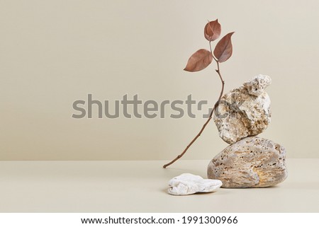 Abstract nature scene with composition of stones and dry branch. Neutral beige background for cosmetic, beauty product branding, identity and packaging. Natural pastel colors. Copy space, front view. Royalty-Free Stock Photo #1991300966