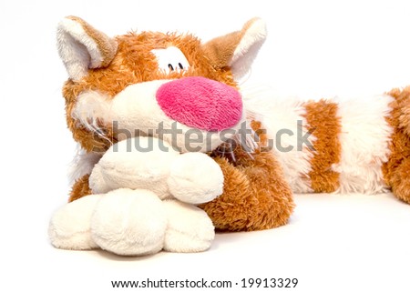 Big soft tabby goggleeyed red-haired cat - toy over white