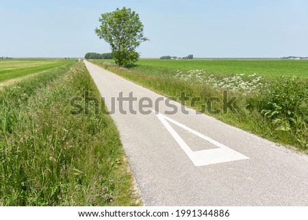 Narrow road in a flat agricultural landscape with a white painted triangle under a blue sky in summer.                         