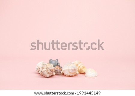 A lot of different sea shells on pink background. Empty place to display product packaging. Showcase mockup. Cosmetics product advertising backdrop.