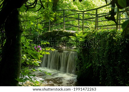A small bridge surrounded by thick vegetation spans a small waterfall caused by a sluice leading into Lymm Dam, Cheshire, Northern England. Royalty-Free Stock Photo #1991472263