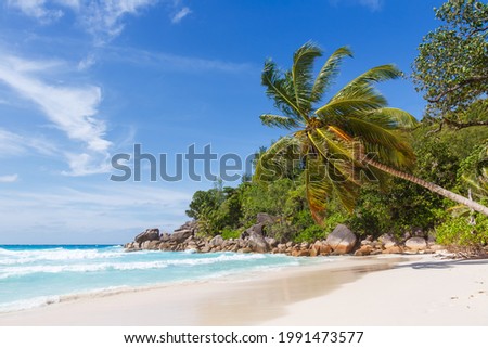 Seychelles Anse Georgette beach on Praslin island palm vacation sea tourism