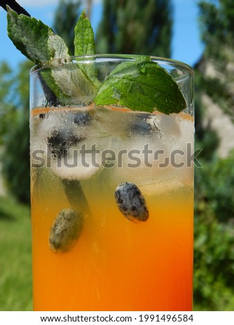 Orange cocktail with ice and mint