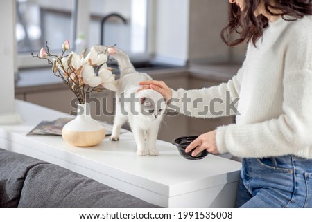Cute young woman stroking her white cat Royalty-Free Stock Photo #1991535008