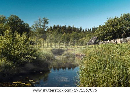 Nature, river and forest - rustic landscape. High quality photo