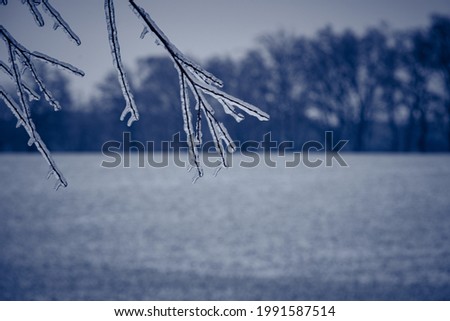 a winter landscape with snow