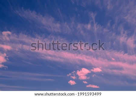Glowing pink cirrus and cumulus clouds after storm, soft sunlight. Meteorology, heaven, peace, graphic resources. Beautiful clear cloudy in sunlight spring season.