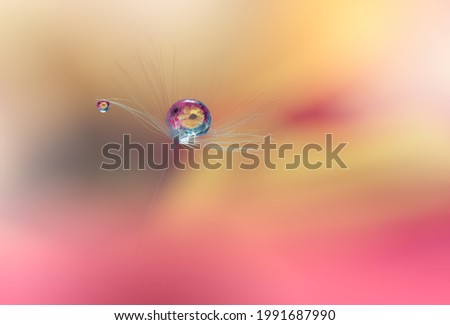 Beautiful Nature Background.Floral Art Design.Abstract Macro Photography.Pastel Flower.Dandelion Flowers.Yellow Background.Creative Artistic Wallpaper.Wedding Invitation.Celebration,love.Close up View