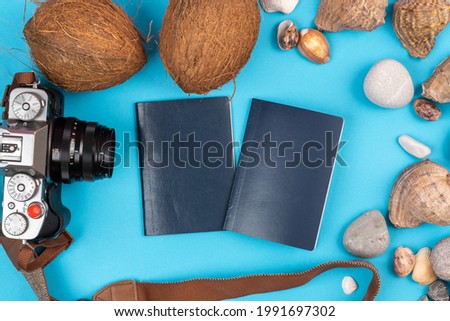 camera,coconuts, shells and documents on a blue background.Background for the traveler.