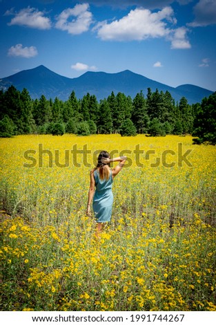Looking out at Mt. Humphreys in Flagstaff Arizona during Summer. Royalty-Free Stock Photo #1991744267
