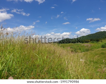 Field full of green grass, with mountains and bright skies.