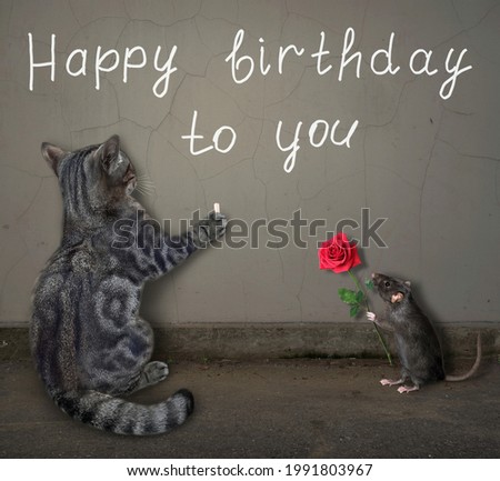 A gray cat writes Happy birthday to you in chalk on the wall.