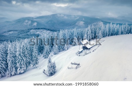 Beautiful winter scenery. Dramatic outdoor scene of mountain village. Fir trees covered by fresh snow in Carpathian mountains. Amazing morning view view from flying drone of mountain forest, Ukraine.