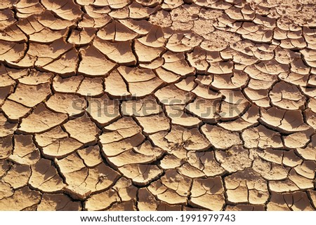global warming concept of cracked ground                              