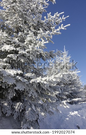 a beautiful Background Snow Picture 