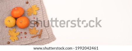 Autumn flat lay. Pumpkins and maple leaves viburnum and cinnamon and acorns on a gray plaid on a white background. Copy space