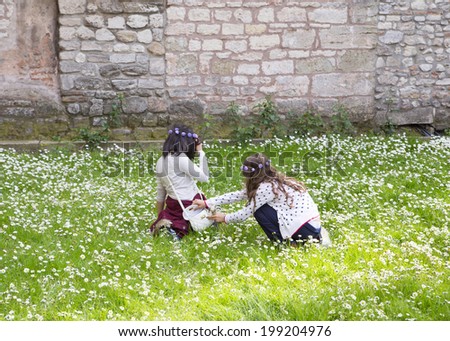 two cute little girl picking up daisies in a fild