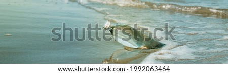 closeup of a glass reusable water bottle on the seashore of a lonely beach, in a panoramic format to use as web banner or header Royalty-Free Stock Photo #1992063464
