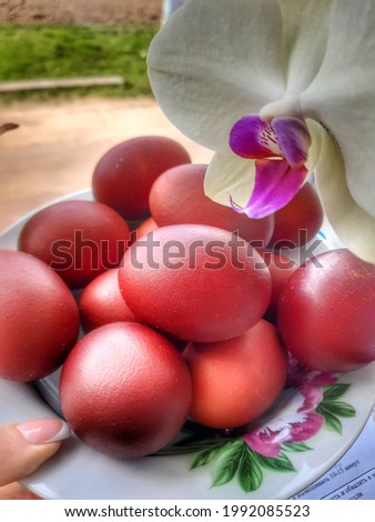 easter eggs on a plate with orchids