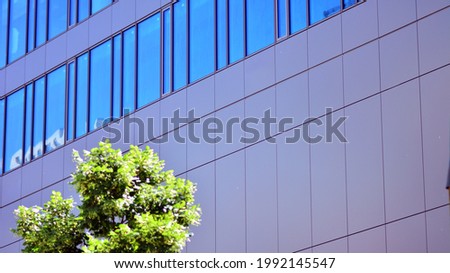 Eco architecture. Green tree and glass office building. The harmony of nature and modernity.