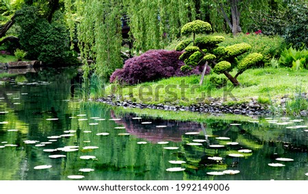 Japanese garden. Harmony in nature. Place of peace and quiet. Contemplation and meditation in a natural setting.