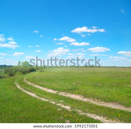 the road that runs through the summer meadow to the horizon
