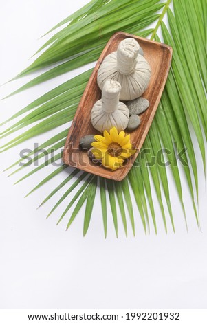 SPA concept: composition of spa treatment on green palm background with copy space 

