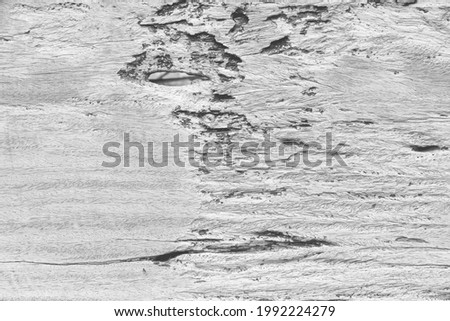 Old wood texture with cracked patterns white grey background