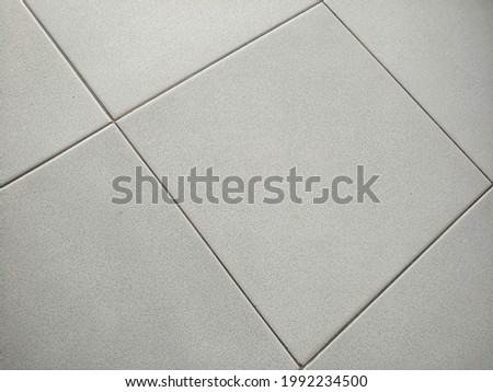 ceramic floor with fish shape