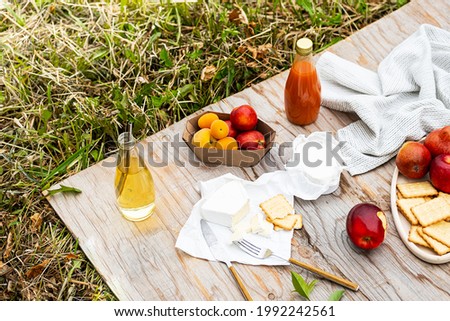 Summer picnic vacation. Summertime eco picnic setting, various fruits, cheese and drinks. Copy space, selective focus.