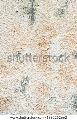 Textured background plaster wall. Abstract backdrop in pastel colors.