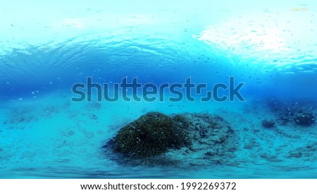 Australia Nature Great Barrier Reef