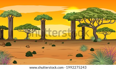 African forest landscape at sunset scene with many big trees illustration