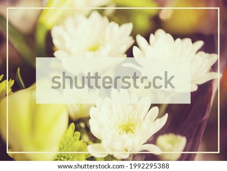 Composition of white banner with copy space in frame on floral background. colour and writing background concept digitally generated image.
