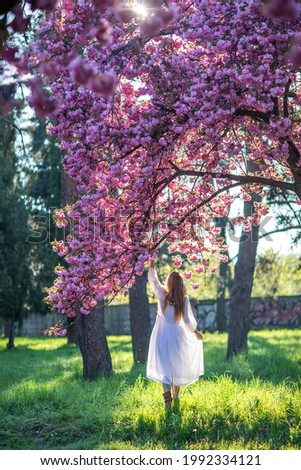 Beautiful woman in a sakura garden