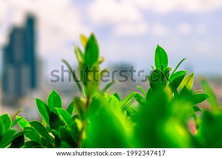 Highly blurred background from the residence,with a panoramic view of the city(condominium,office,home offices,houses,football fields,bridges across the river) and colorful colors from the evening sky