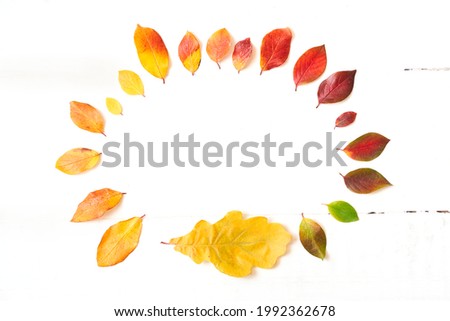 Oval shape of colorful autumn leaves in the form of a gradient text frame, layout for design on a wooden white background. High quality photo
