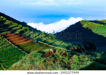 Morning at Sikunir peak, Dieng highland, Central Java, indonesia, covered in dramatic fog on blue sky background, paddy and potato field in the far