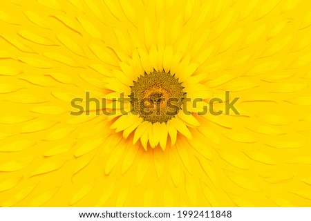 Creative background with yellow sunflower with flying petals top view Flat lay. Harvest time agriculture farming sunflower oil. Sunflower yellow background. Beautiful floral card Template for design 